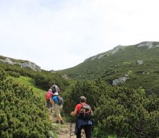 Vedno bližje smo našemu cilju